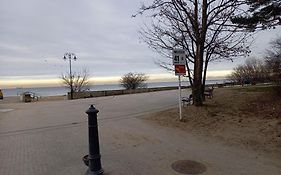Brzezno Plaza